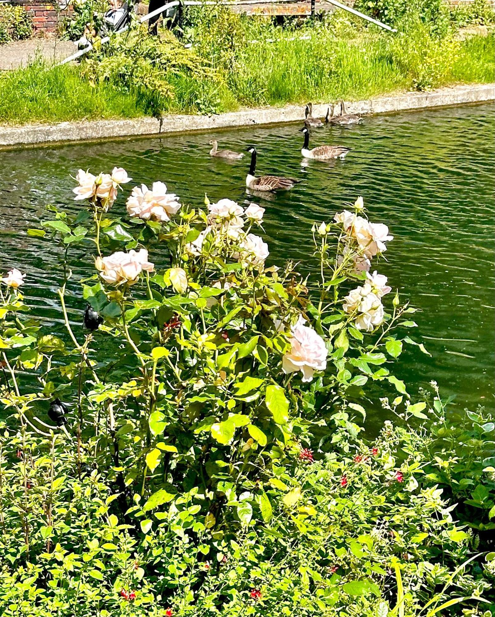 Amazing Location - City Of London- 2 Bedroom Stunning Canal View House With Private Garden,Parking & Balcony Buitenkant foto